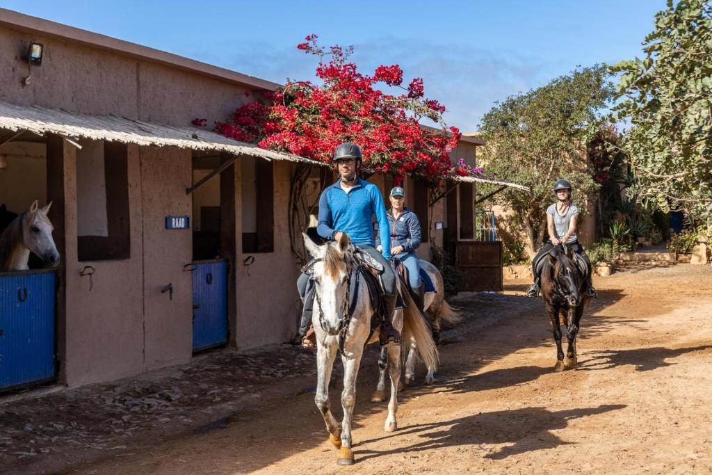 Le ranch Les 2 Gazelles - Tourisme Agadir Souss-Massa