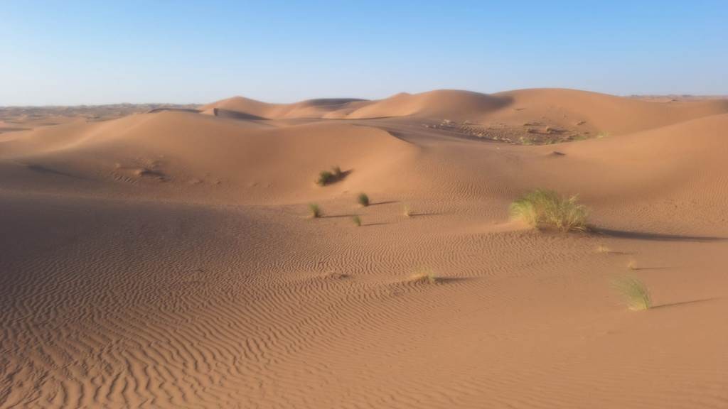 Les dunes Zawiya - 2 jours / 1 nuit - Tourisme Agadir Souss-Massa
