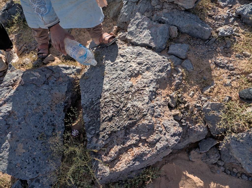 Les fossiles  et les dunes - 3 jours / 2 nuits - Tourisme Agadir Souss-Massa