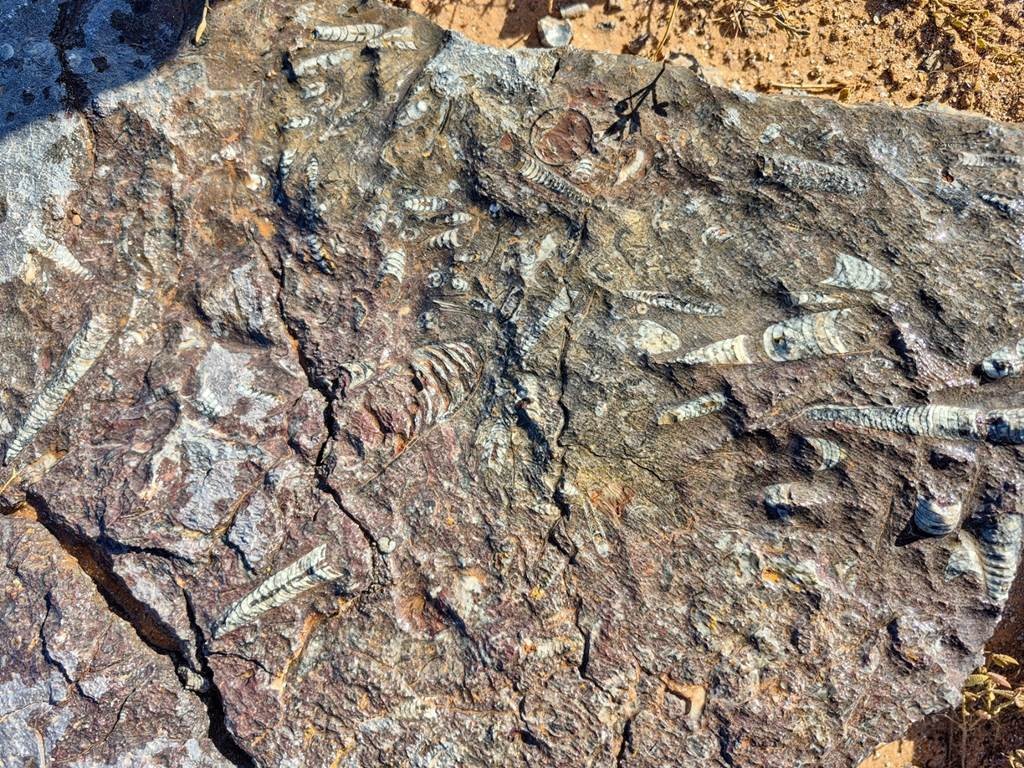 Les fossiles  et les dunes - 3 jours / 2 nuits - Tourisme Agadir Souss-Massa