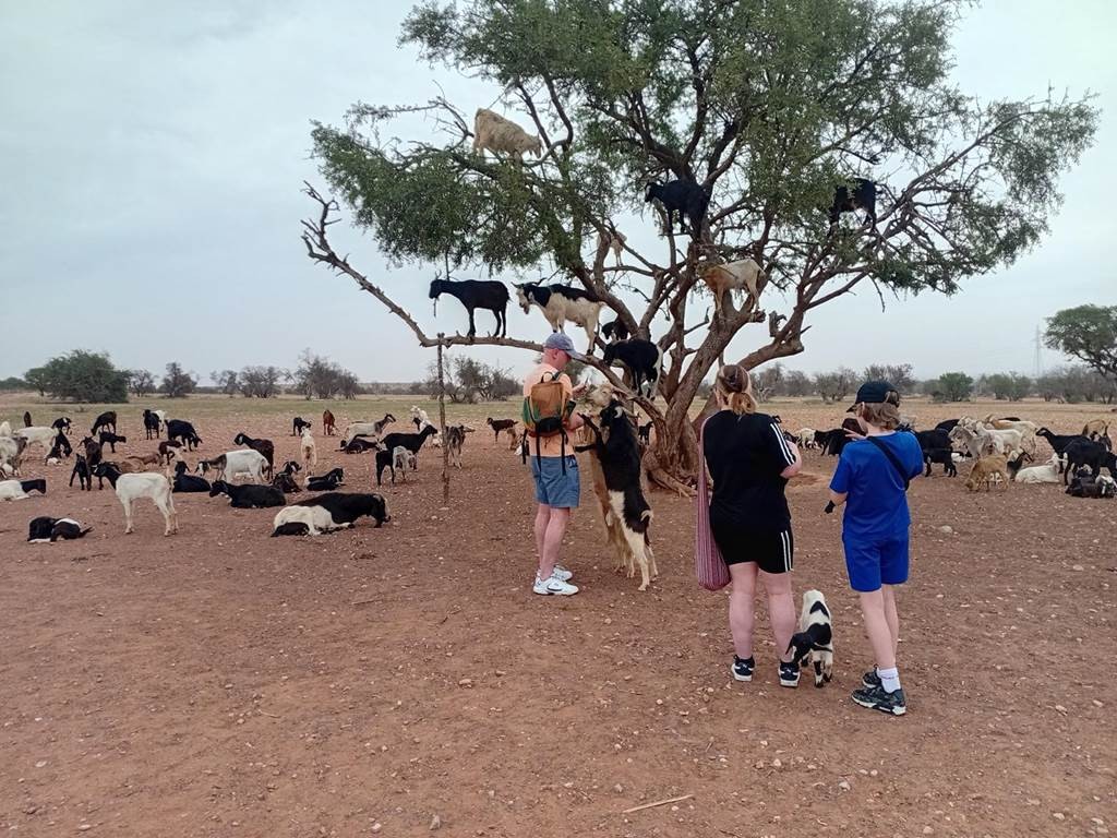 MASSA EN 4 X4 PETIT DESERT - Tourisme Agadir Souss-Massa