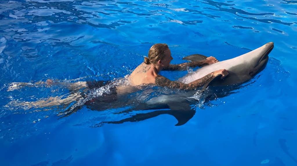 Nage Individuelle avec les Dauphins - Tourisme Agadir Souss-Massa