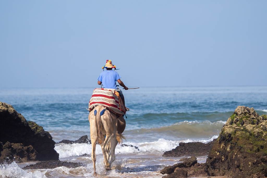 Namaste Lodge Experience - Tourisme Agadir Souss-Massa