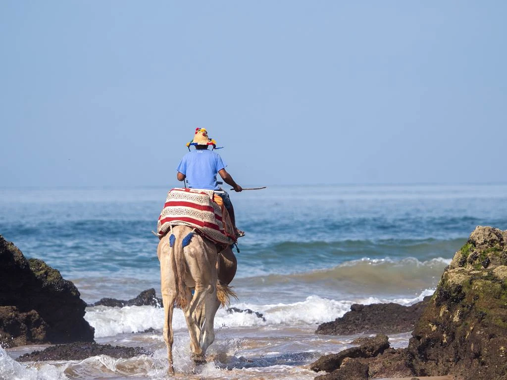 Namaste Lodge Experience - Tourisme Agadir Souss-Massa