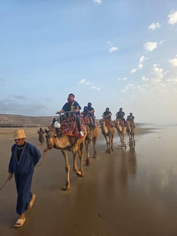 Offre camel ride  + dïner + transfert+ animation berbère - Tourisme Agadir Souss-Massa