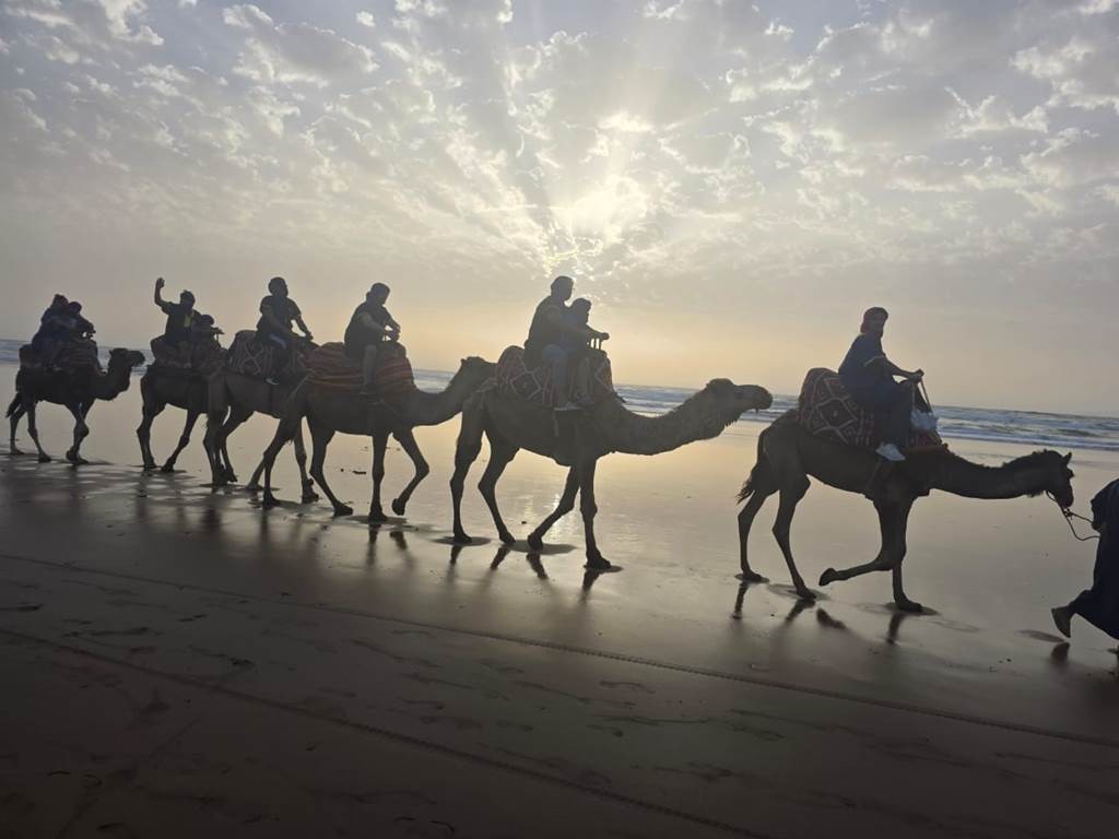 Offre camel ride  + dïner + transfert+ animation berbère - Tourisme Agadir Souss-Massa