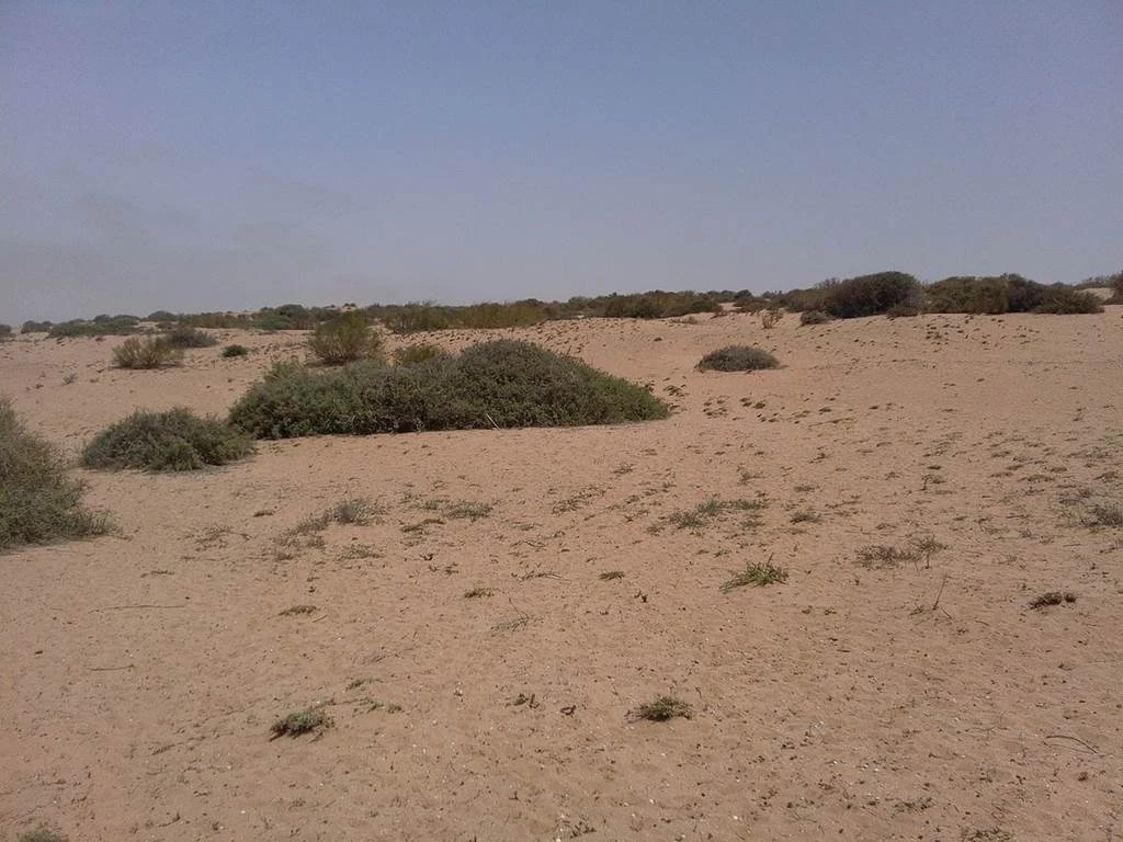 Parc national & Massa - Tourisme Agadir Souss-Massa