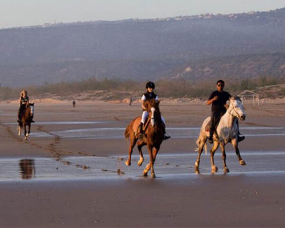 Quad Taghazout - Tourisme Agadir Souss-Massa