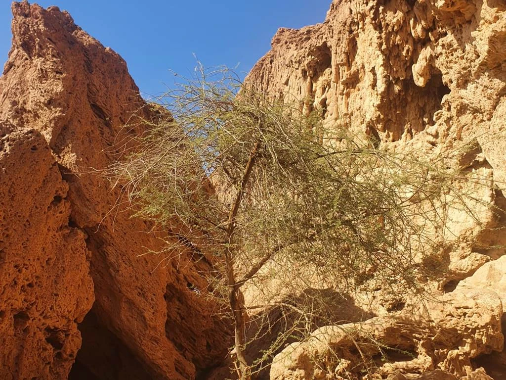 Randonnée Tata - Messalit Caves - Tourisme Agadir Souss-Massa