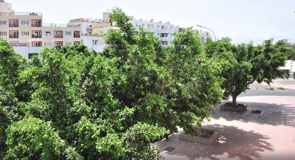 Residence Amwaj - Tourisme Agadir Souss-Massa