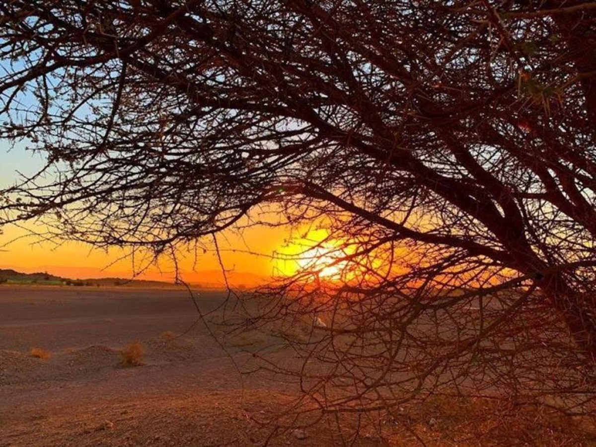 Rimal Tata Camp - Tourisme Agadir Souss-Massa