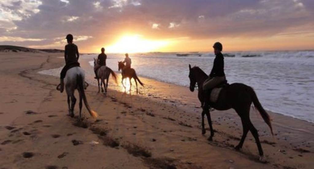 Sellez Vos Rêves : Votre stage équestre au Cœur du Maroc - Tourisme Agadir Souss-Massa