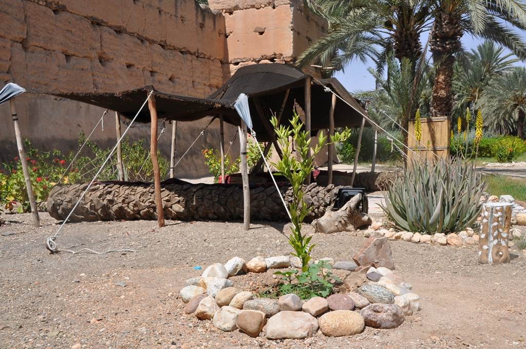 SOUS LES PALMIERS BLEUS - Tourisme Agadir Souss-Massa