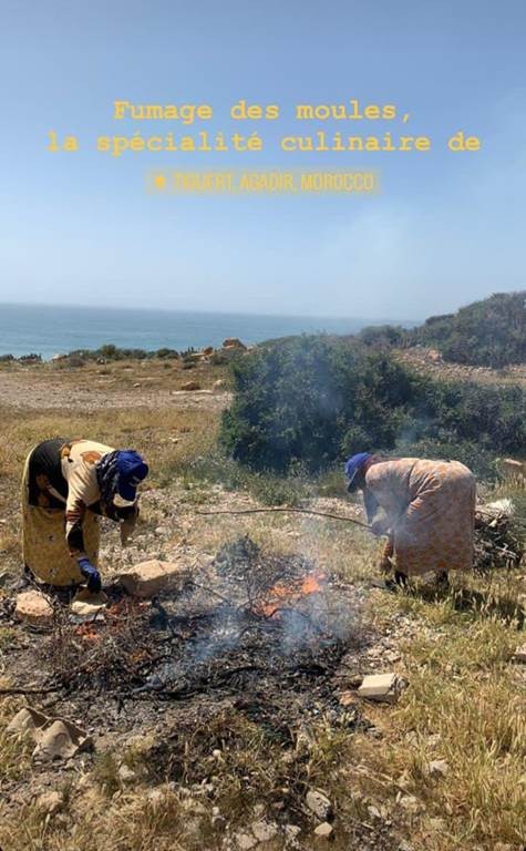 TAMRILUXE HOUSE  - Tourisme Agadir Souss-Massa