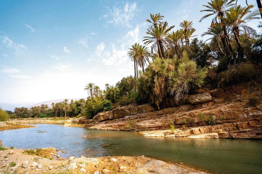 Tiout l'oasis et Taroudant - Tourisme Agadir Souss-Massa