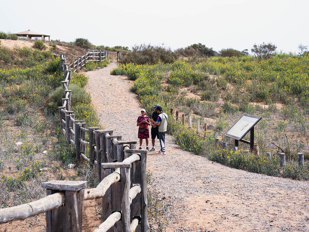 Tour eBike Parc National Souss Massa - Tourisme Agadir Souss-Massa