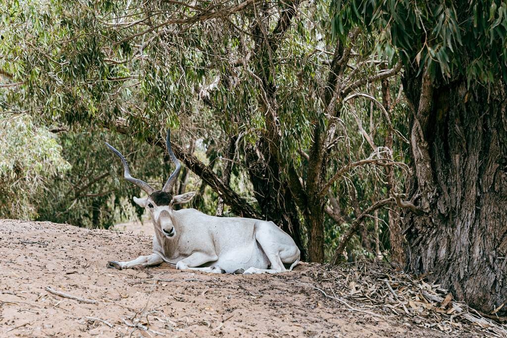 Tour eBike Parc National Souss Massa - Tourisme Agadir Souss-Massa