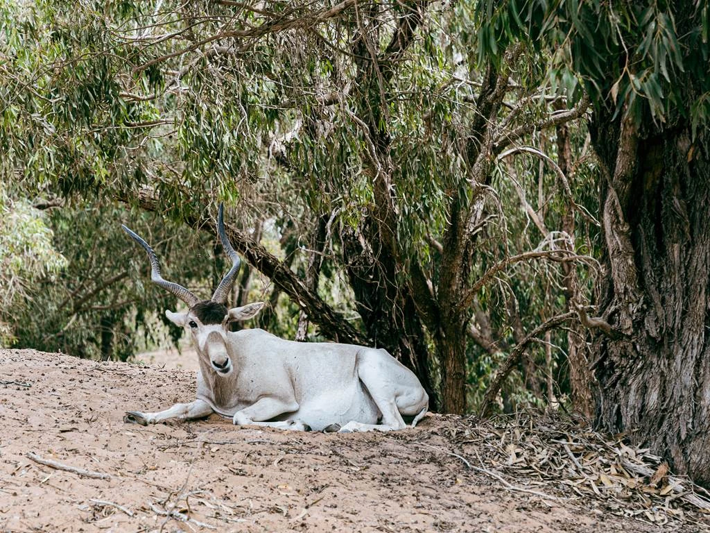 Tour eBike Parc National Souss Massa - Tourisme Agadir Souss-Massa