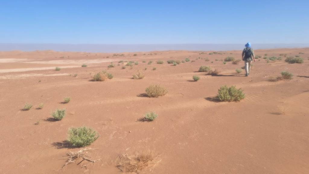 Trek Chaabi -gravure - les dunes 6 jours 5 nuits - Tourisme Agadir Souss-Massa