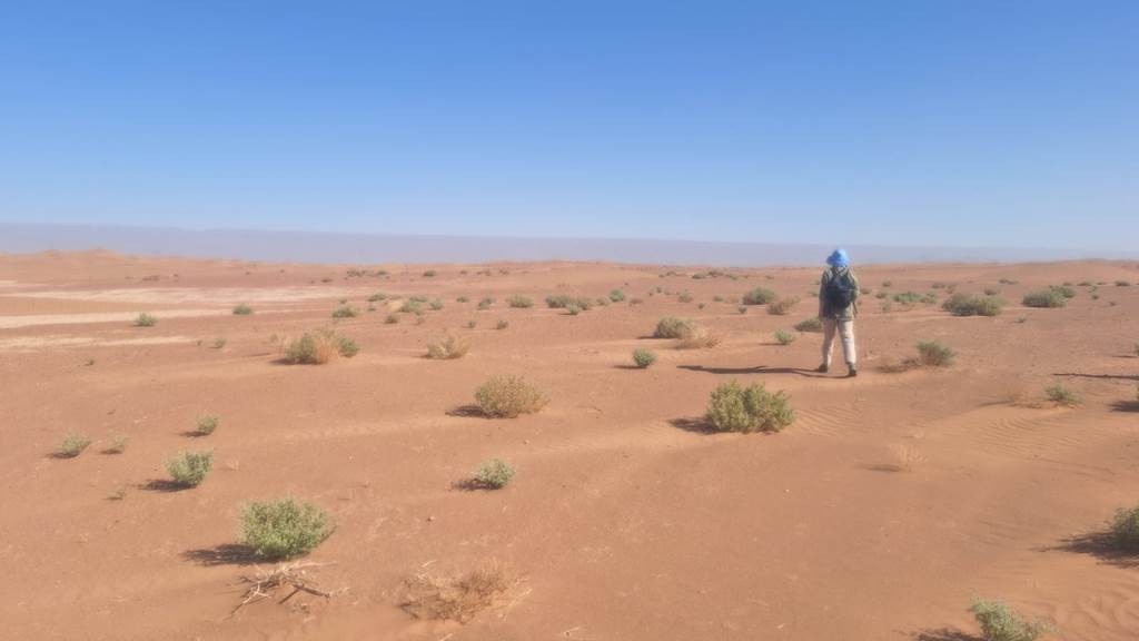 Trek Chaabi -gravure - les dunes 6 jours 5 nuits - Tourisme Agadir Souss-Massa