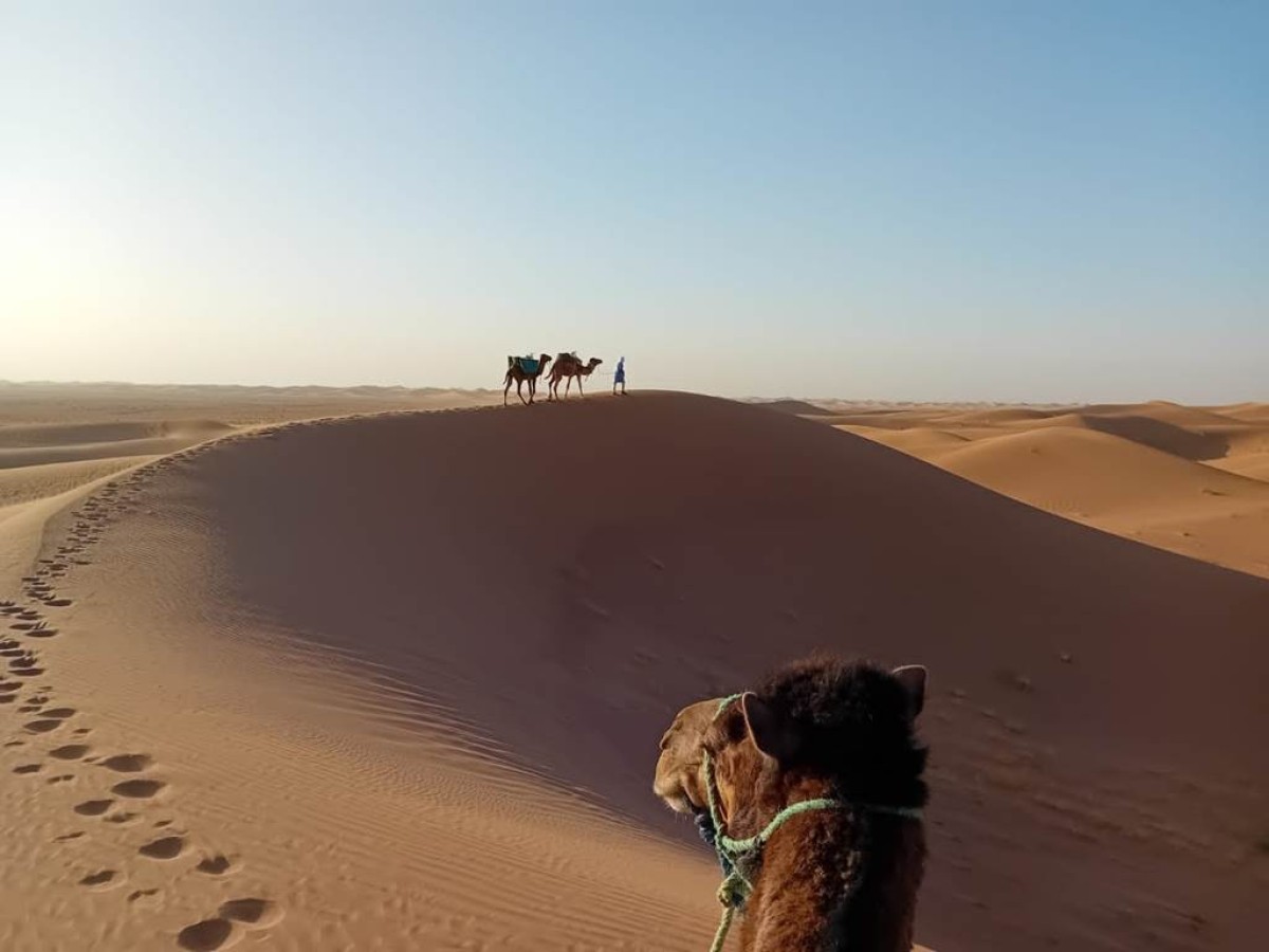 Trek les dunes -erg lghoul - 3 jours / 2 nuits - Tourisme Agadir Souss-Massa